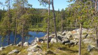 Waldsee