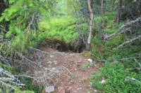 Bären- "Ide" Höhle
