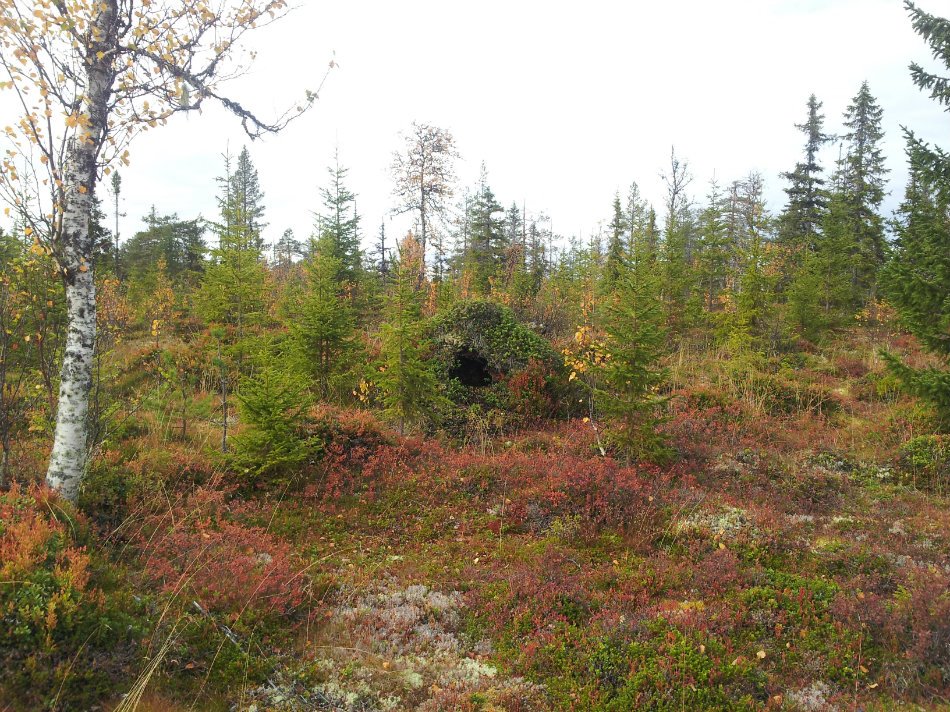 Bären-"Ide" Höhle