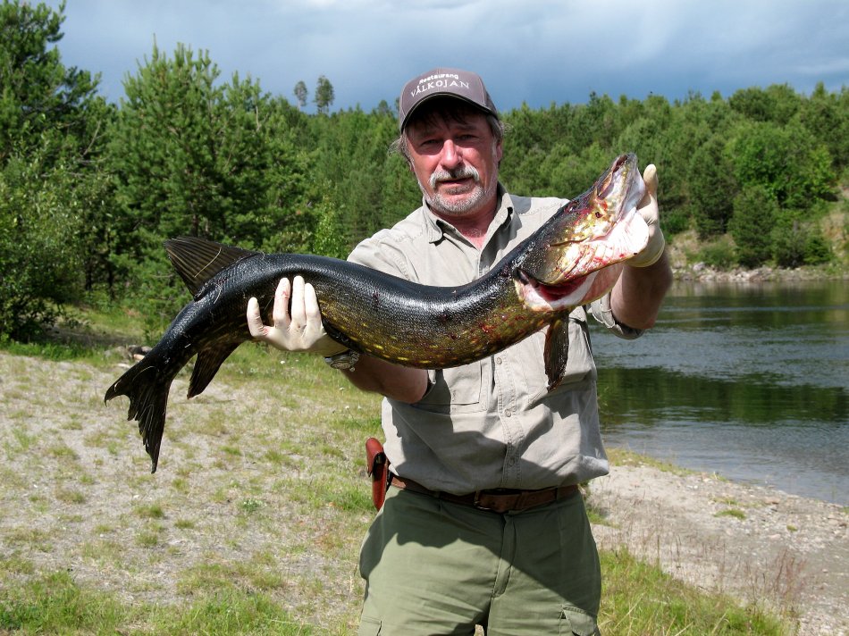 Fischen in Schweden